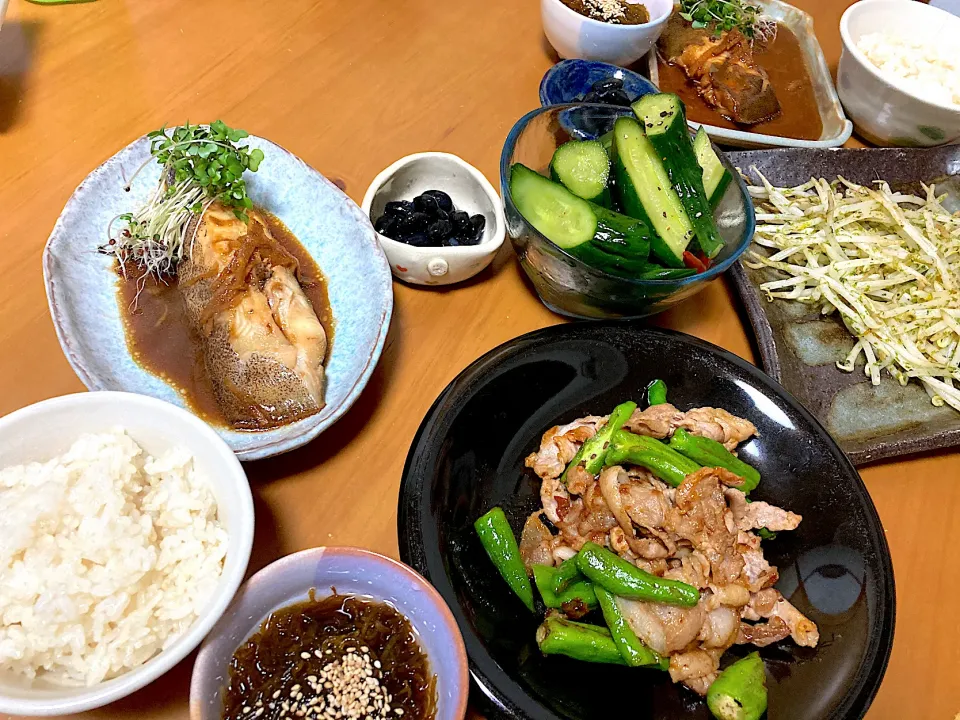 カレイの煮付け❤️もずく黒酢❤️豚肉ししとう焼肉のタレ炒め❤️もやしのバター青のり炒め自家製ポン酢かけて❤️黒豆❤️きゅうりの浅漬け|さくたえさん