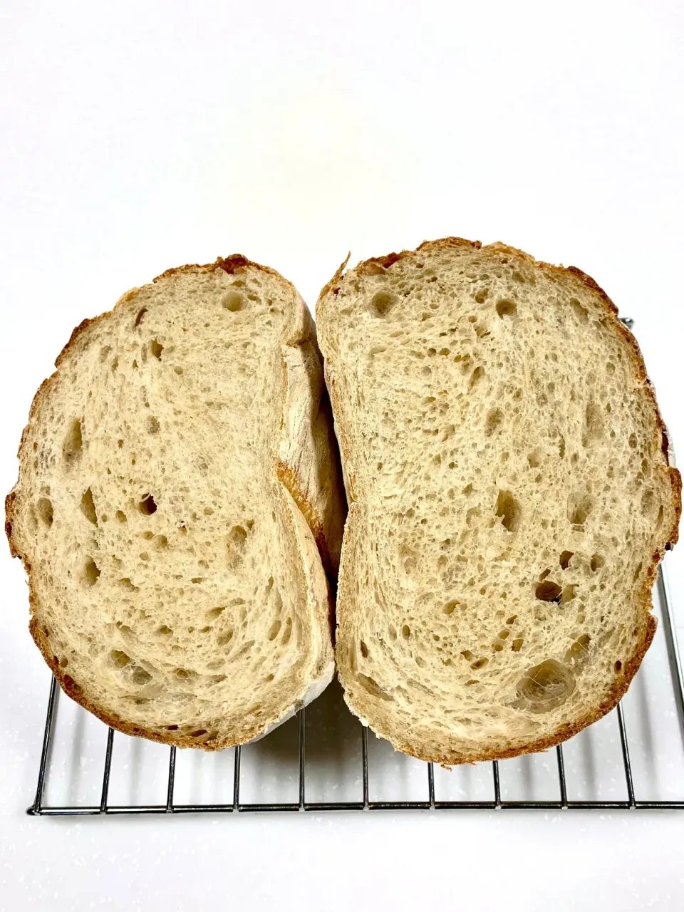 Whole Wheat Sourdough Bread|gonbenさん