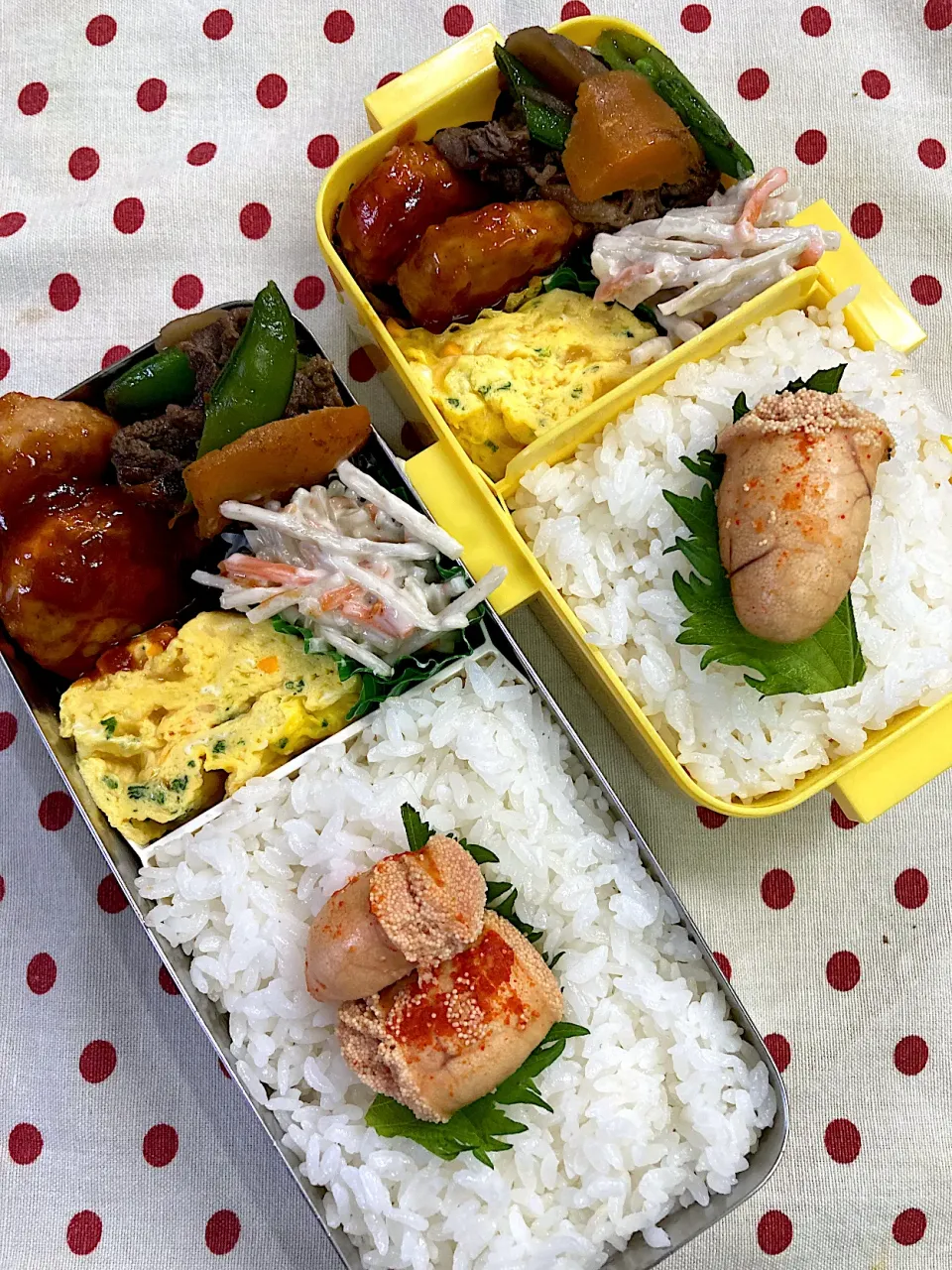 Snapdishの料理写真:4月12日 普通のお弁当🍱|sakuramochiさん