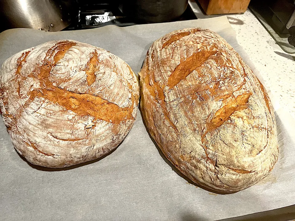 Snapdishの料理写真:Homemade rustic bread|🌺IAnneさん