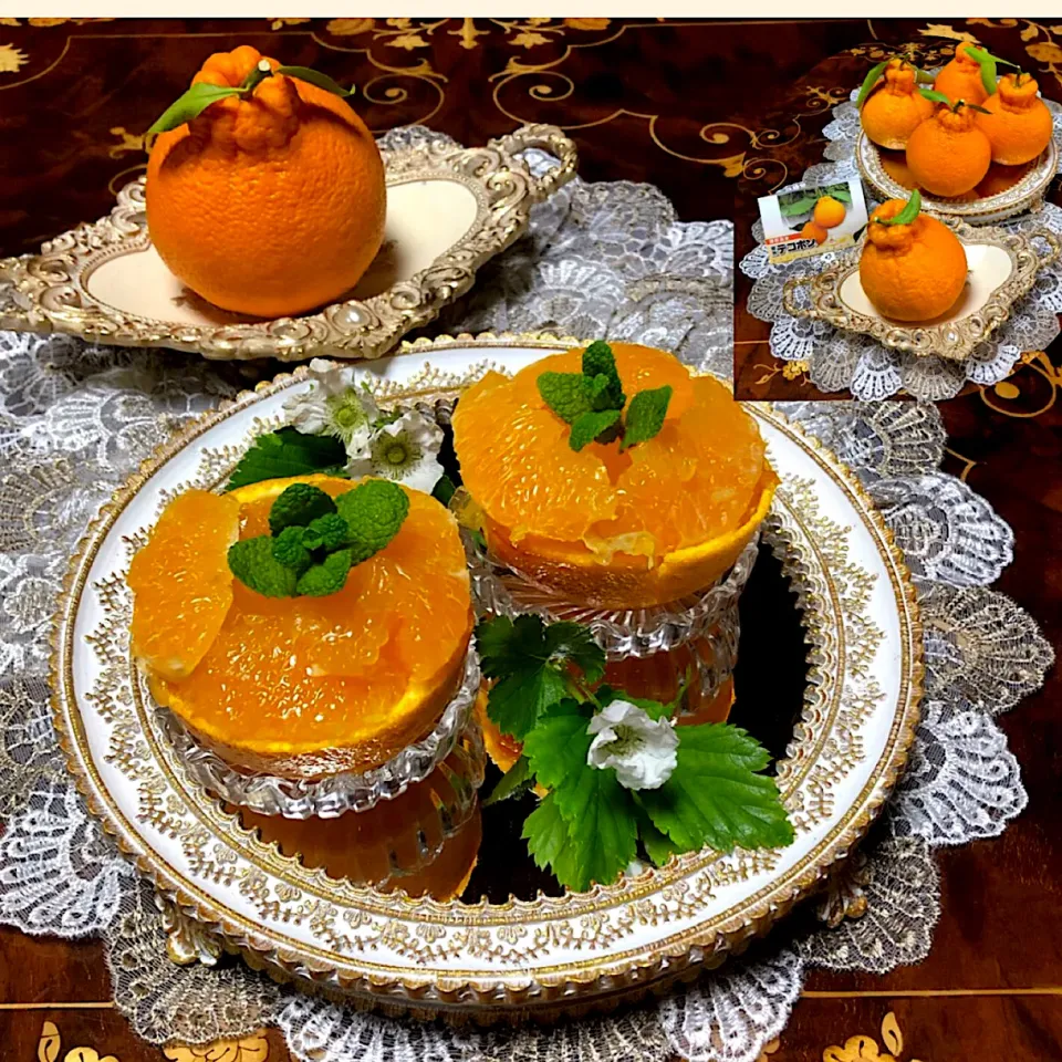 henryさんの料理 蒲郡樹熟デコポンゼリー🍊|henryさん