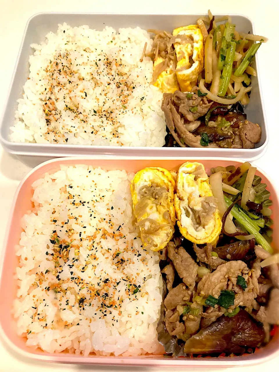 本日のお弁当|ちぼさん