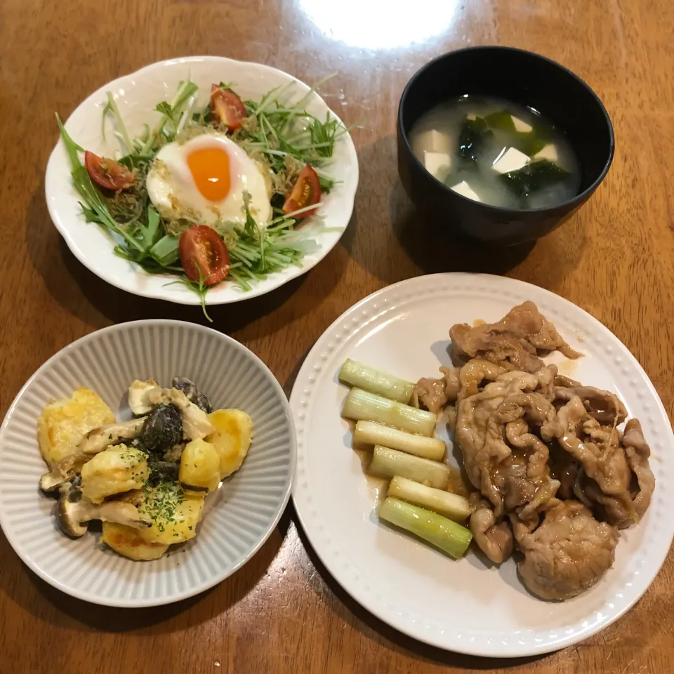 今日の晩ご飯|トントンさん