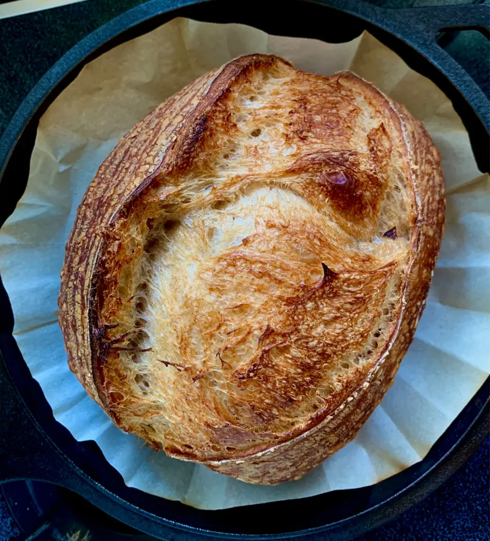 Repost the sourdough bread I posted two years ago #1|gonbenさん