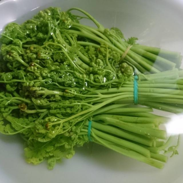 あやめぇさんの1日置きも重曹も必要なし 簡単 わらびのアク抜き法楽天レシピ 楽天レシピ Snapdish スナップディッシュ Id Flueka