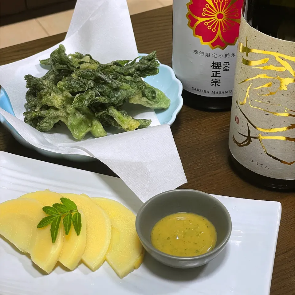 筍の木の芽味噌、タラの芽の天ぷらを日本酒と。|MAYUKOさん