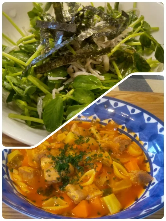 '22．4/19
今夜は豆苗としらすのサラダと在庫野菜のミネストローネ😋|たえさん