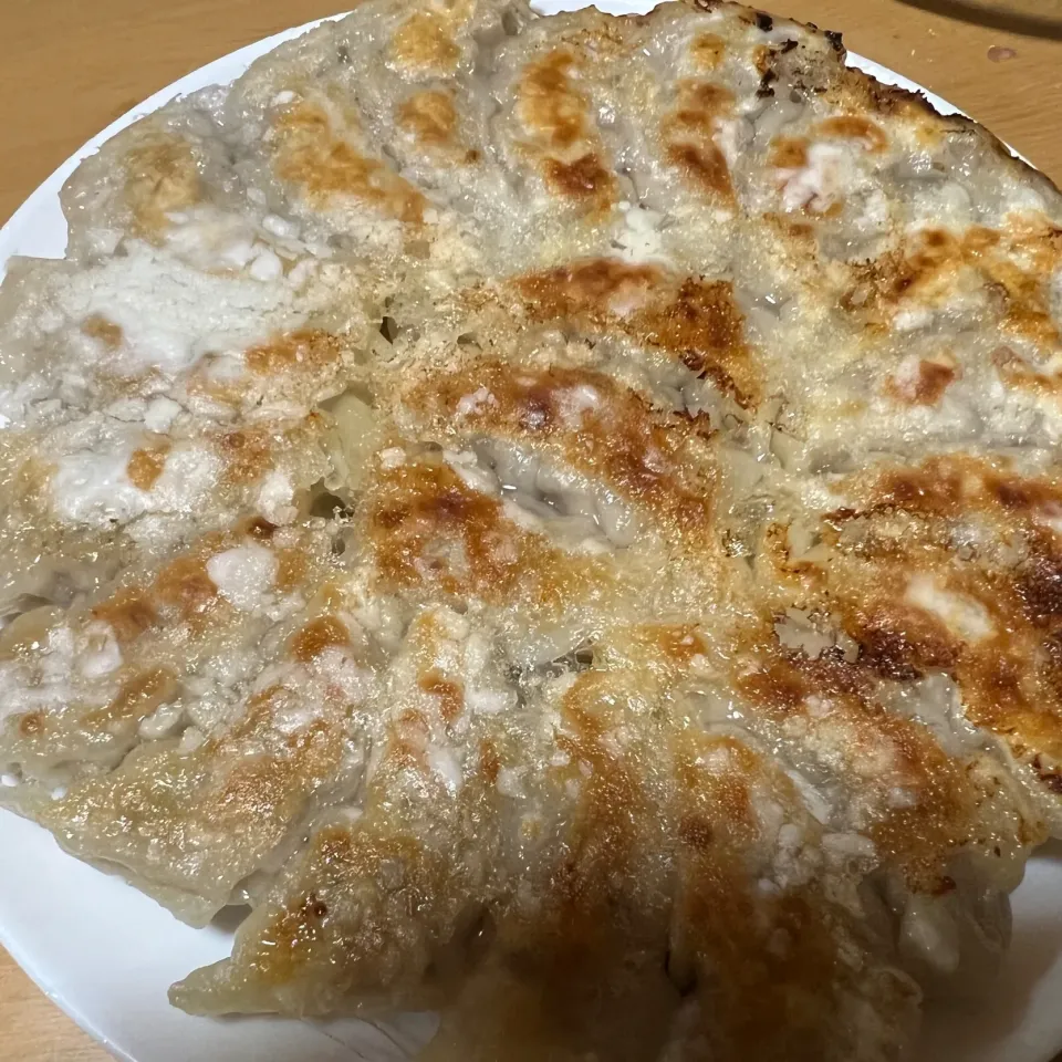 焼き餃子|ハルのただ飯さん