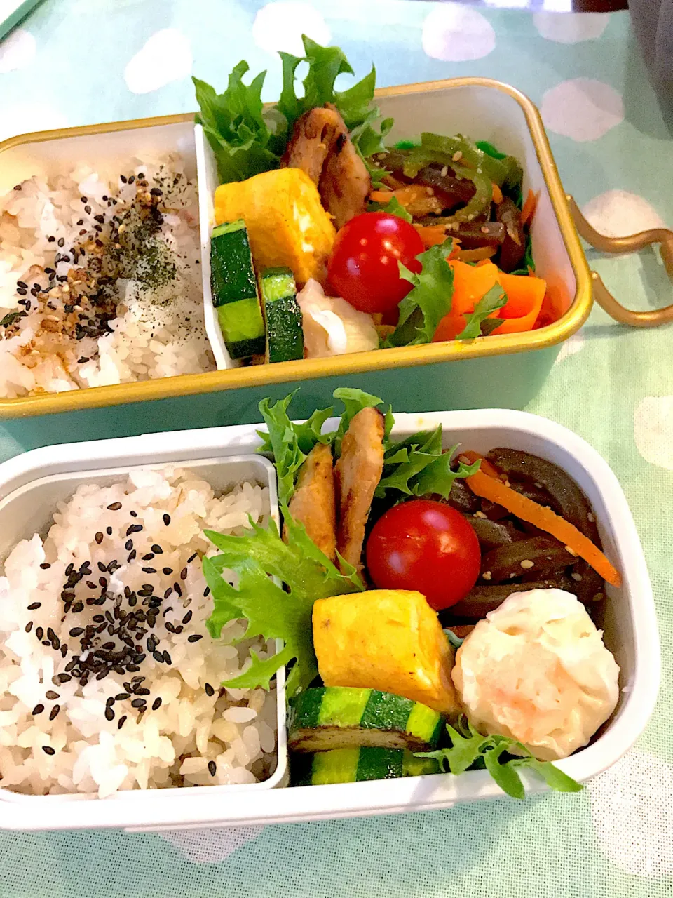 2022.4.20  ＊今日のお弁当＊こんにゃくのきんぴら＊|rinrin*mama*さん