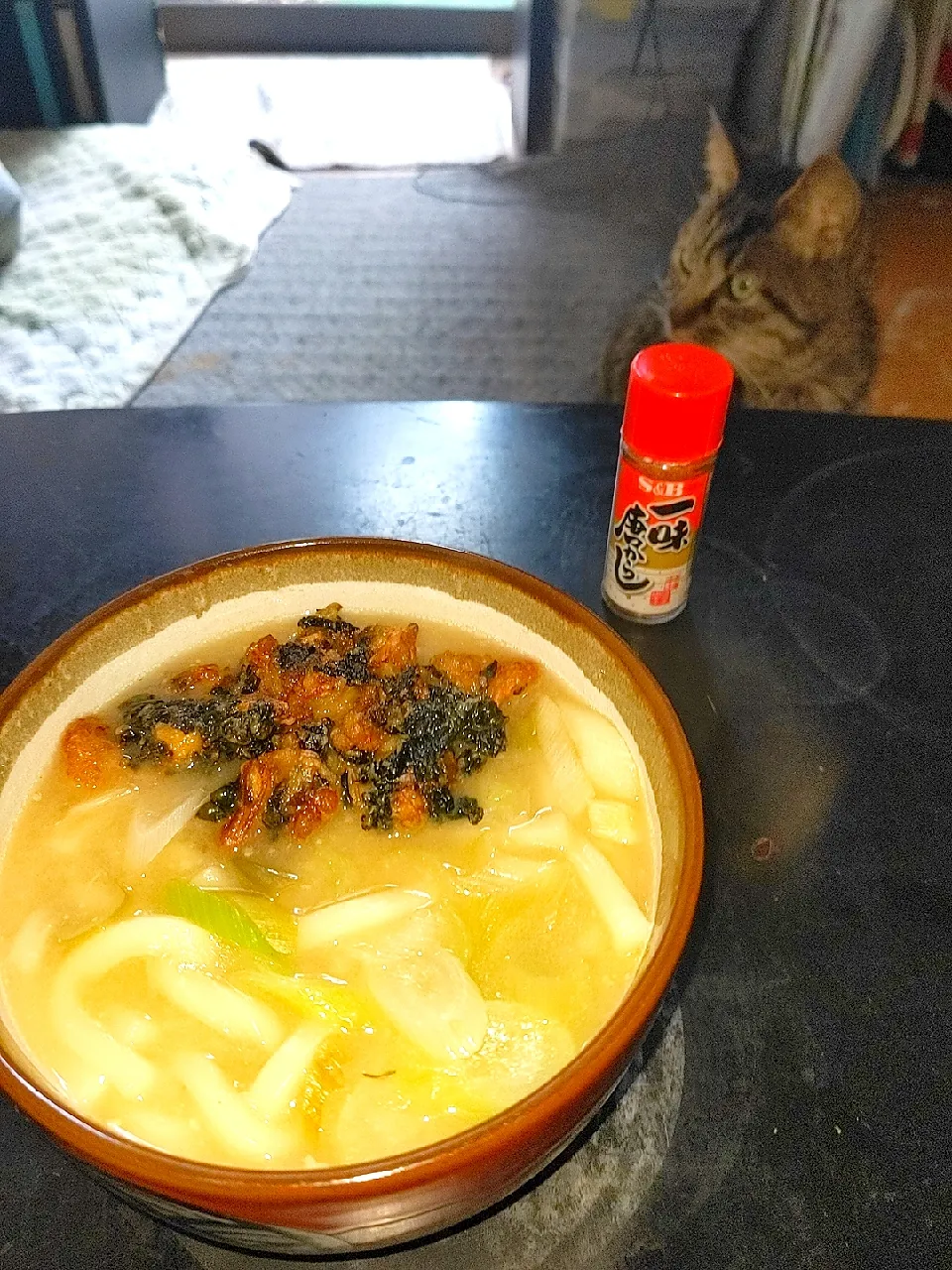 夜勤明け肌寒いので乾燥わかめ＋魚貝のかき揚げ味噌うどん|Tarou  Masayukiさん