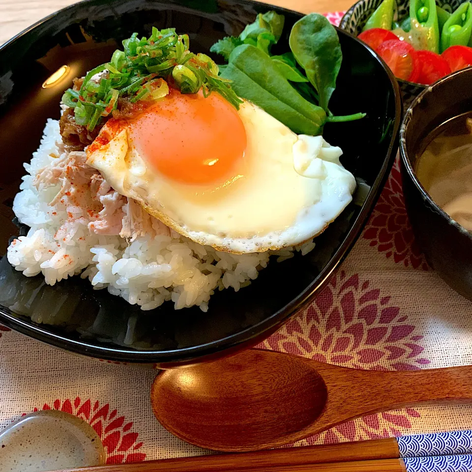 鶏肉飯　ジーローファン|のらねこままさん