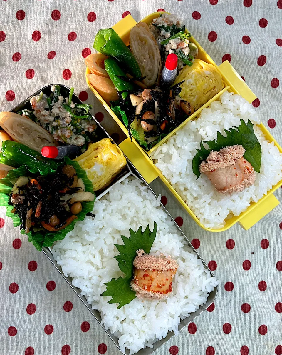 Snapdishの料理写真:4月22日　週末弁当🍱|sakuramochiさん