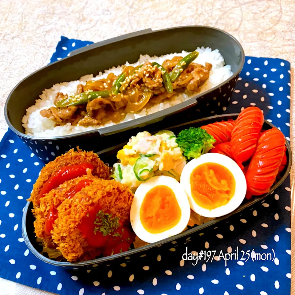 Snapdishの料理写真:★ある日のDK弁当★|♡ciao♡さん