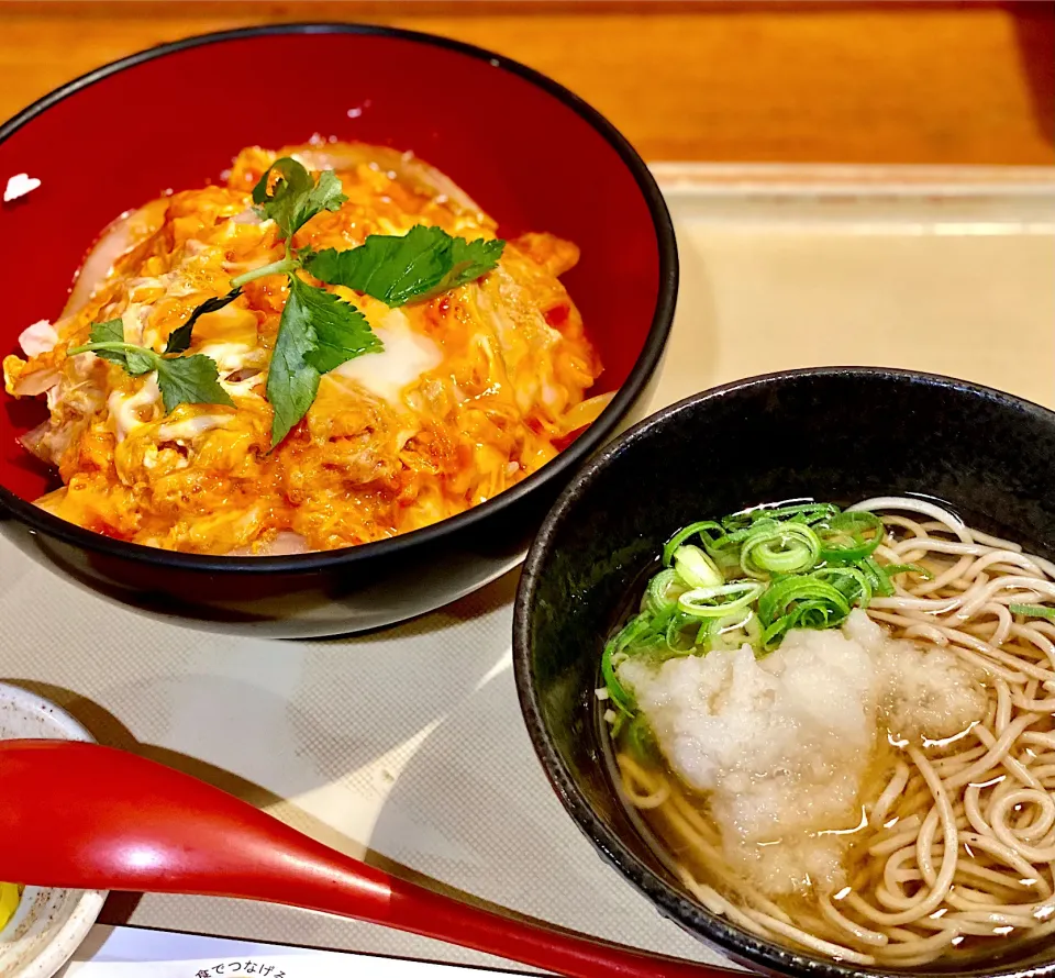 Snapdishの料理写真:ミニ親子丼とミニおろし蕎麦|にゃあ（芸名）さん