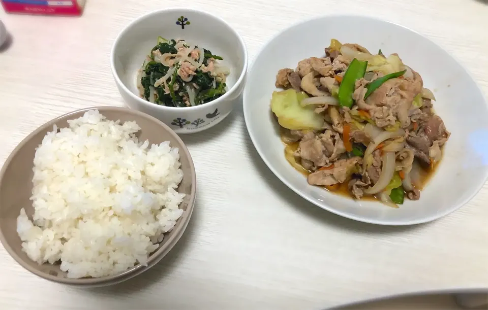 肉野菜炒め&ほうれん草ともやしのツナ和え|おいもさん