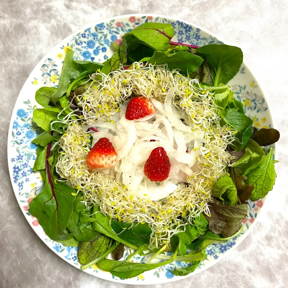 🥗新玉ねぎといちごのマリネサラダ🥗|ス〜さんさん