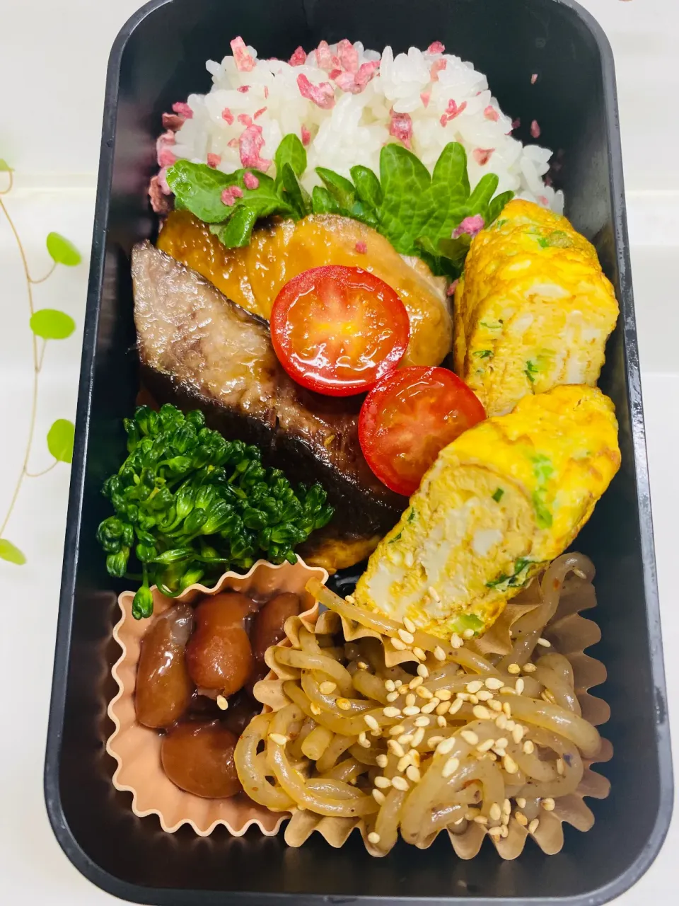 Snapdishの料理写真:今日のお弁当|ケイトさん