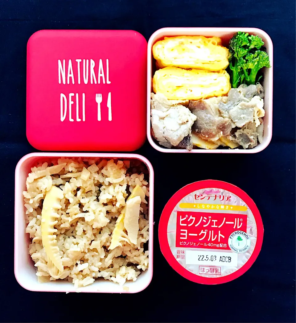 たけのこ弁当🍱|コマツ菜さん