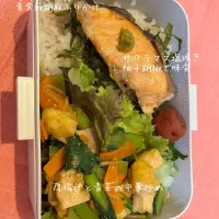 Snapdishの料理写真:今日の旦那弁当|Yuchiさん