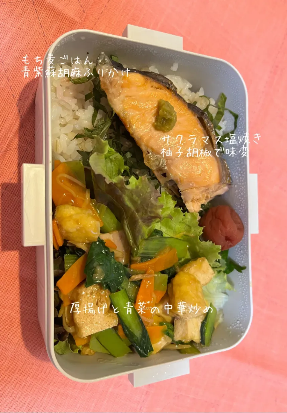 Snapdishの料理写真:今日の旦那弁当|Yuchiさん