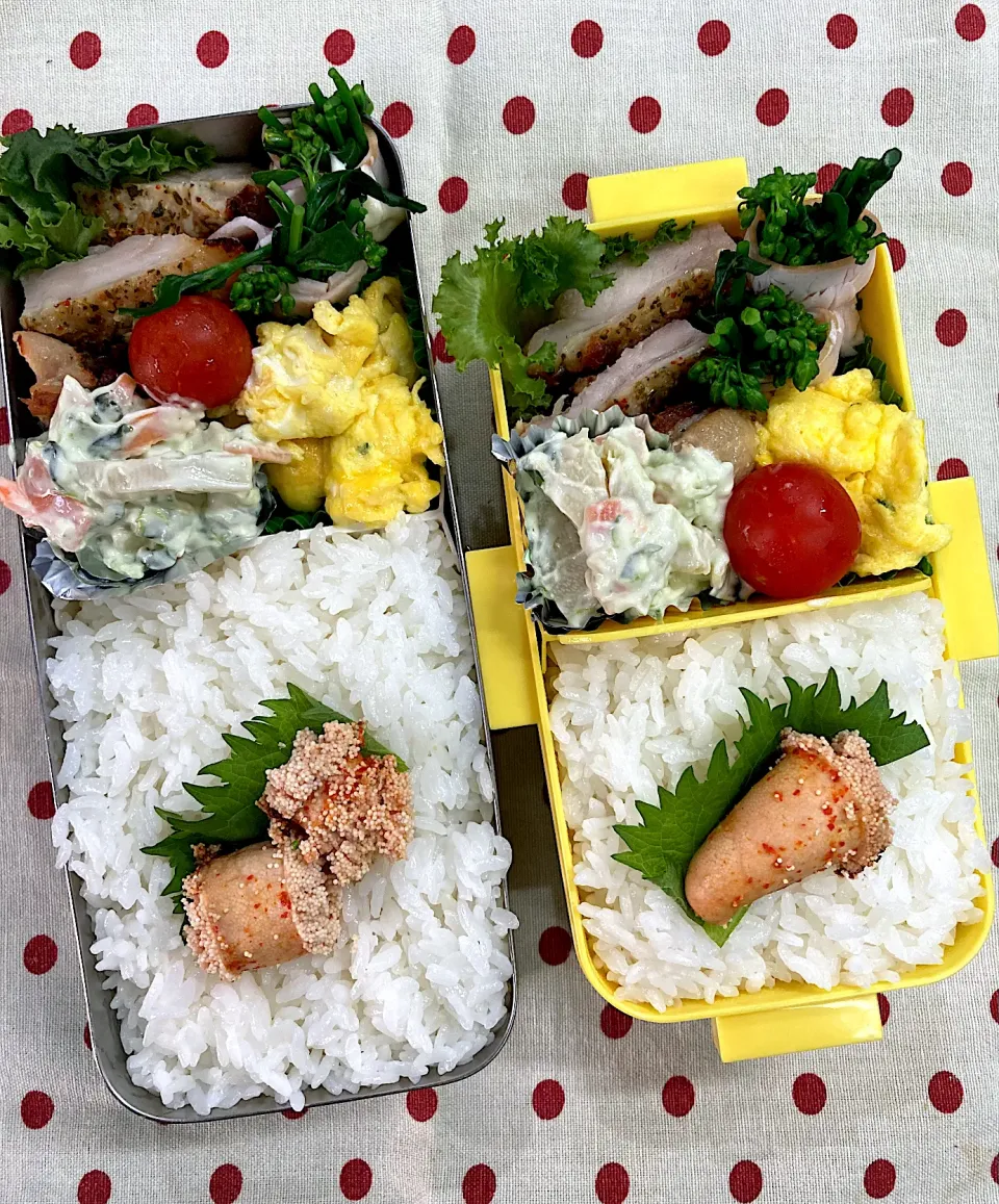 4月28日 連休直前弁当🍱|sakuramochiさん