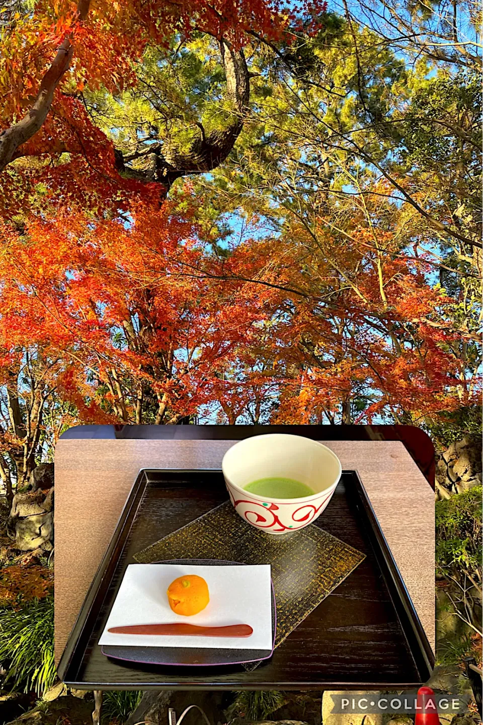 本山抹茶 安倍の花、主菓子（温州）|こいちさん