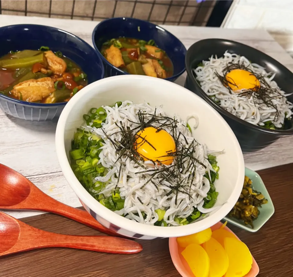 ランチにしらす丼|霜月さん