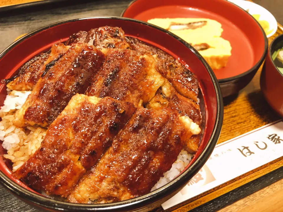 はし家の特上うなぎ丼とうまき|きゃずさん