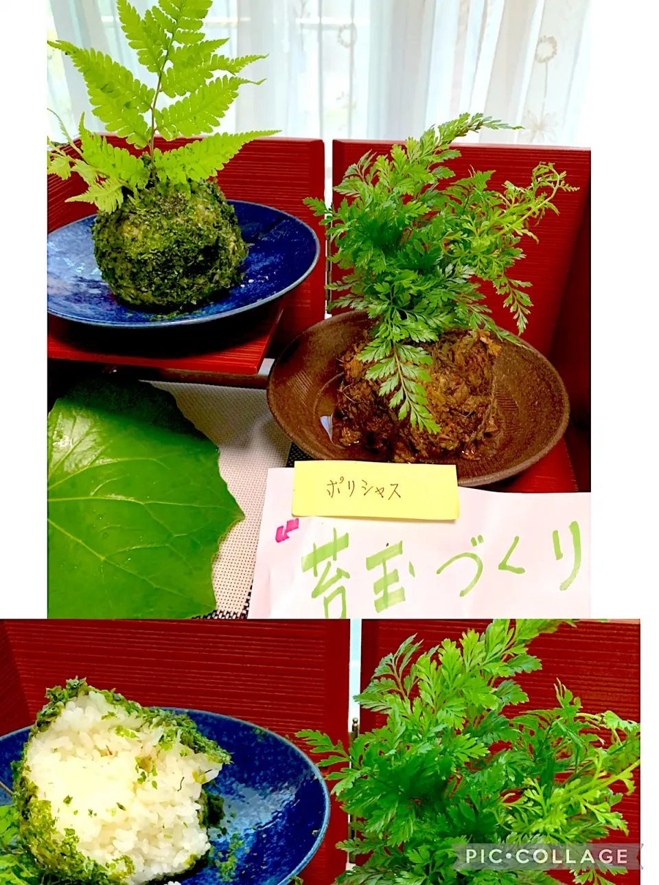 笑顔食堂さんが作っていた苔玉おむすび|シュトママさん