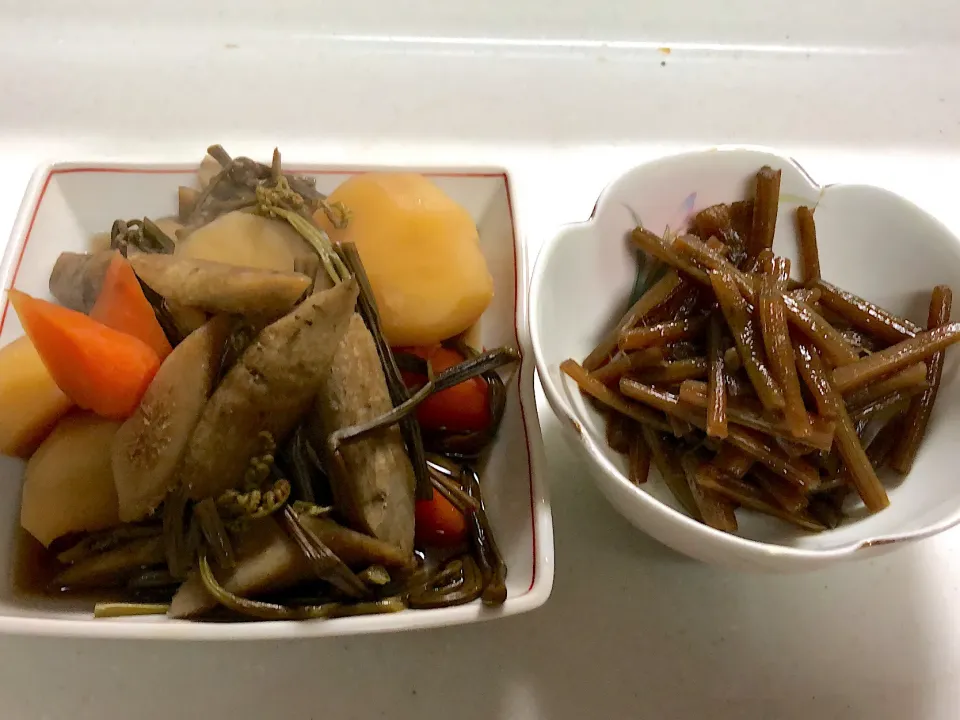 蕨と野菜の煮物と、フキの佃煮|yukiさん