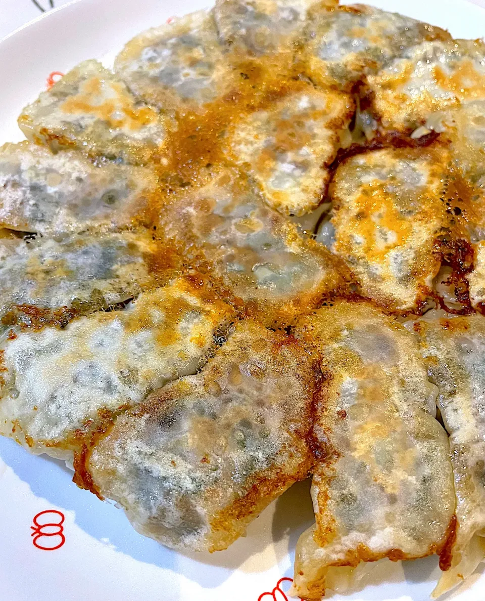 NHK「餃子の取説」で焼き餃子🥟〜🤗✨|てるみさん