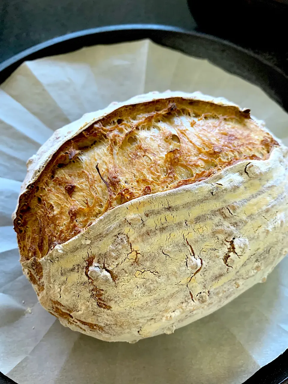 Buckwheat Sourdough|gonbenさん