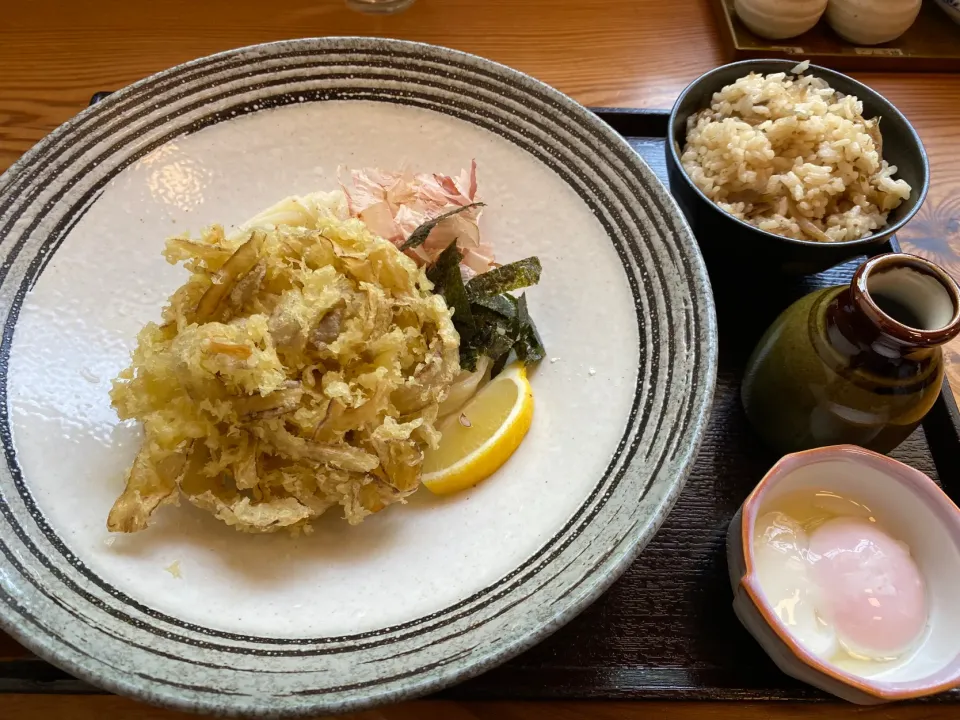 ごぼうかき揚げぶっかけうどん、鳥ごぼう飯セット|buhizouさん