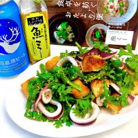魚ミーを使って🐟春菊とイカの簡単サラダ