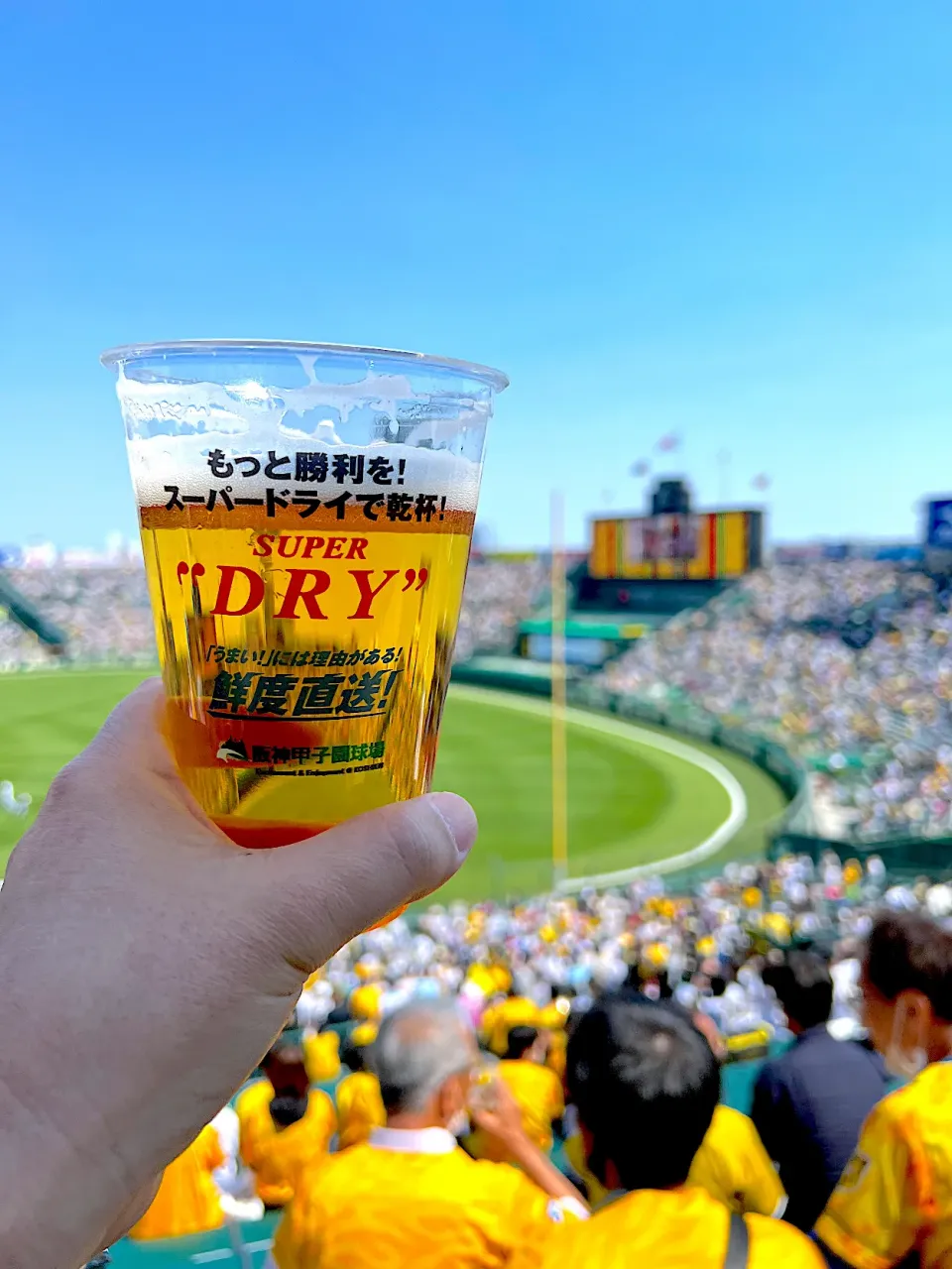 甲子園で生ビール🍺|流線形さん