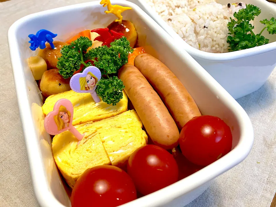 Snapdishの料理写真:ありあわせ弁当🍱|n_nさん