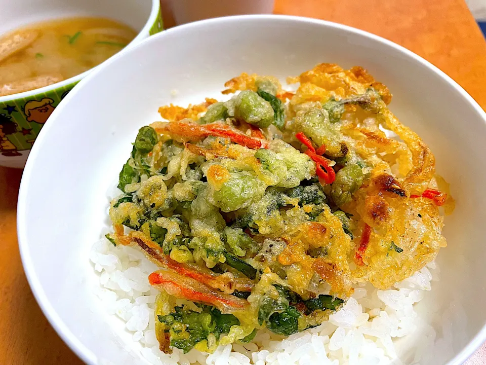 Snapdishの料理写真:野菜のかき揚げ天丼|ワタルキャンプさん