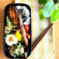 今日のオット弁当⭐︎ 連休中日のシャケ弁|tacconcinaさん