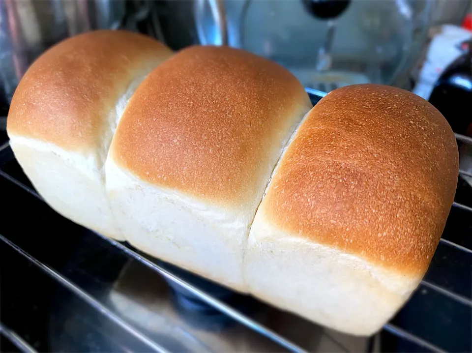 Snapdishの料理写真:手作りミニ食パン🍞|まるちゃんさん