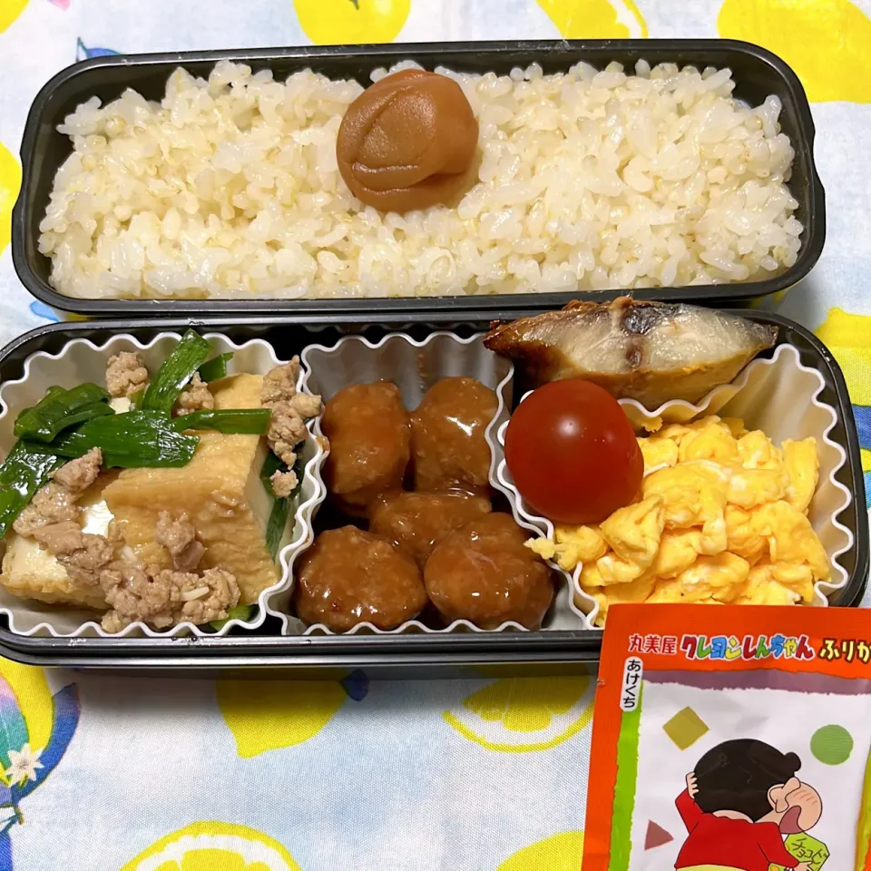 娘のお弁当5/9|iguigupopさん