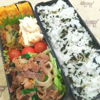 2022/5/8
今日のお弁当

▪プルコギ
▪セロリのきんぴら
▪卵焼き
▪プチトマト
▪業務スーパーのポテマカサラダ|おじゃがさん