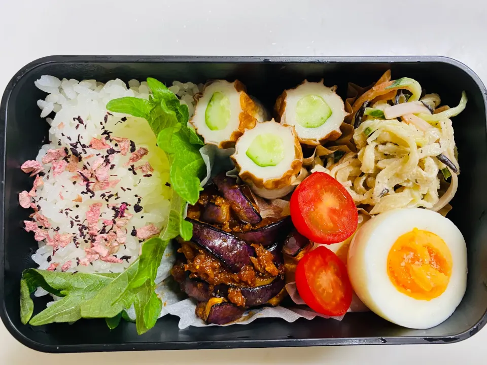 今日のお弁当|ケイトさん