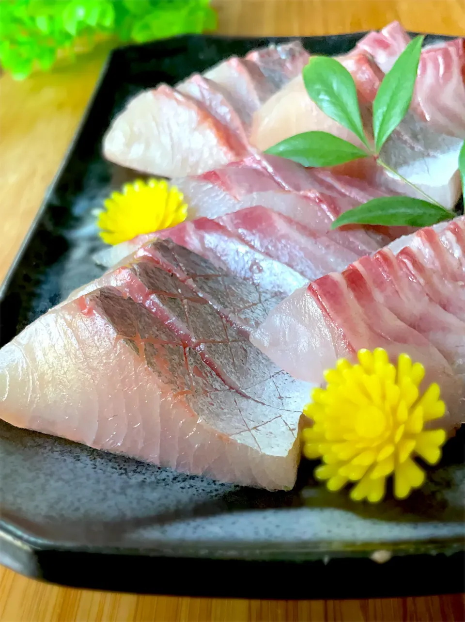 釣り魚🎣ヒラマサとイサキの刺身|9421beruさん