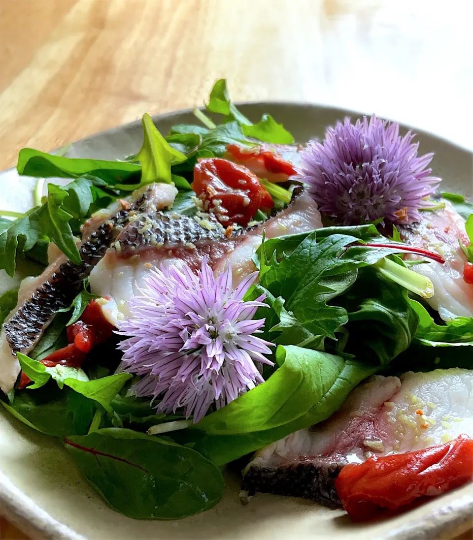 釣り魚🎣イサキの梅こんぶ茶サラダ|9421beruさん