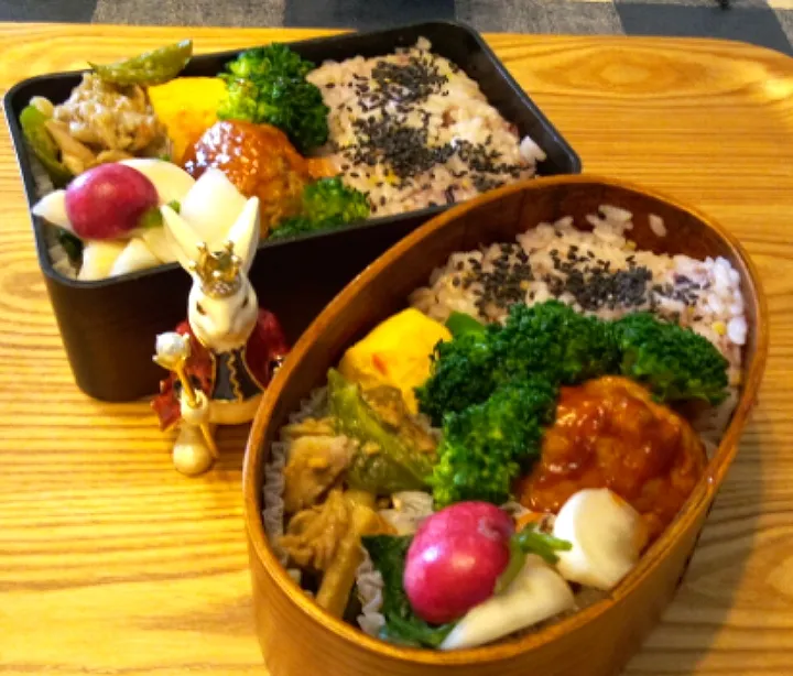 Snapdishの料理写真:'22．5/9
本日のジジババ弁当🍱|たえさん