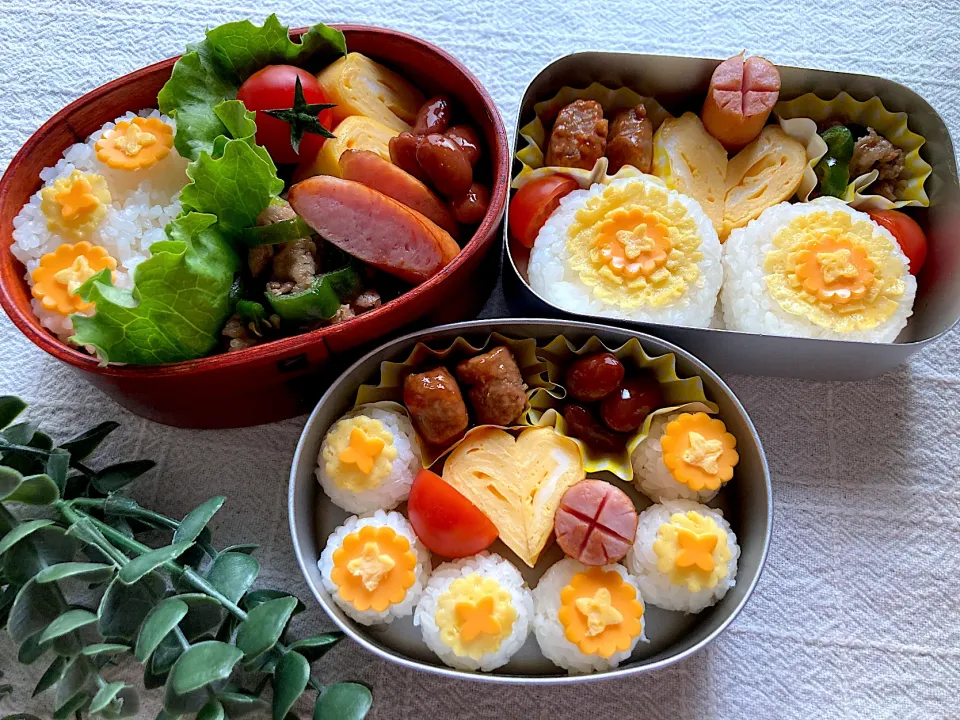 ＊たんぽぽ🌼弁当＊ちびたんとべびたんの幼稚園お弁当＊|＊抹茶＊さん