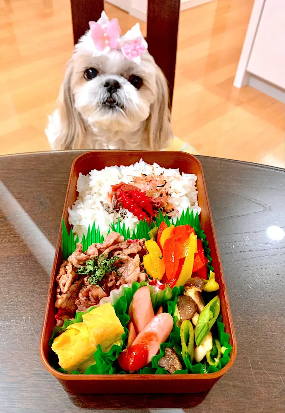 5月11日　プクパパお弁当🍱|プクママさん