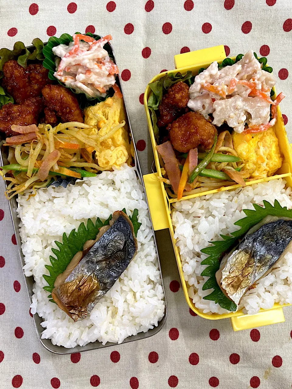 Snapdishの料理写真:5月11日 今日から雨天 曇天 弁当🍱|sakuramochiさん