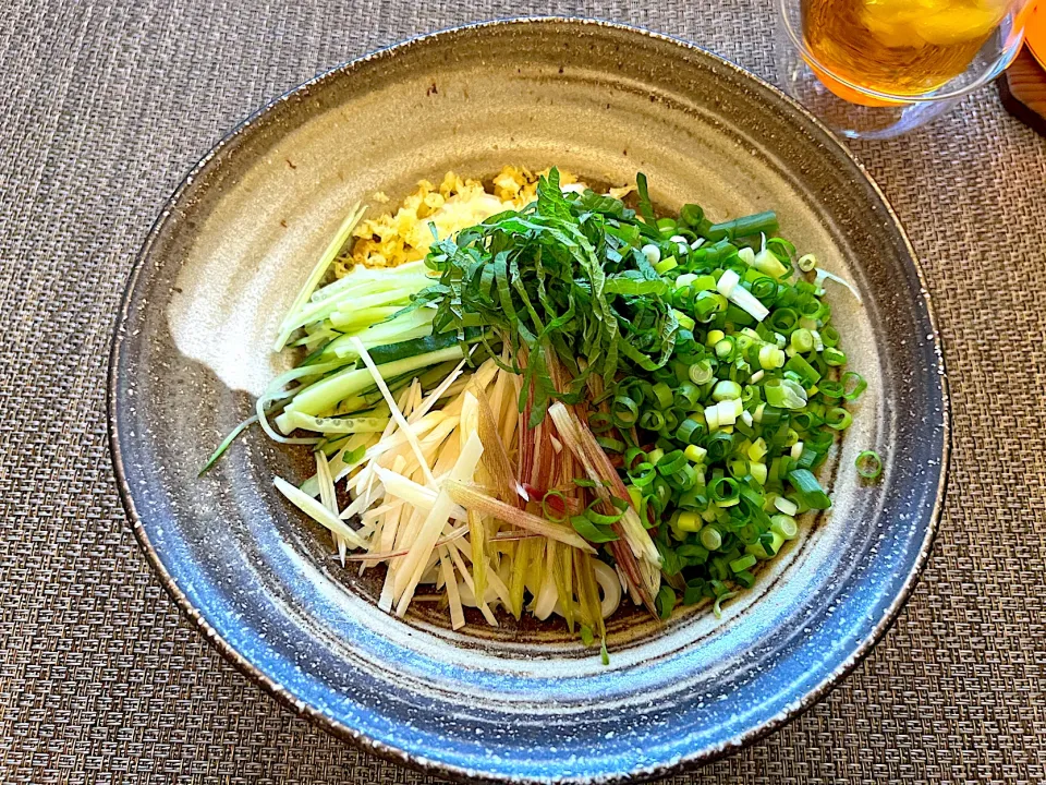 休日の朝ご飯
⁡
薬味たっぷりぶっかけうどん🍜|yokoさん