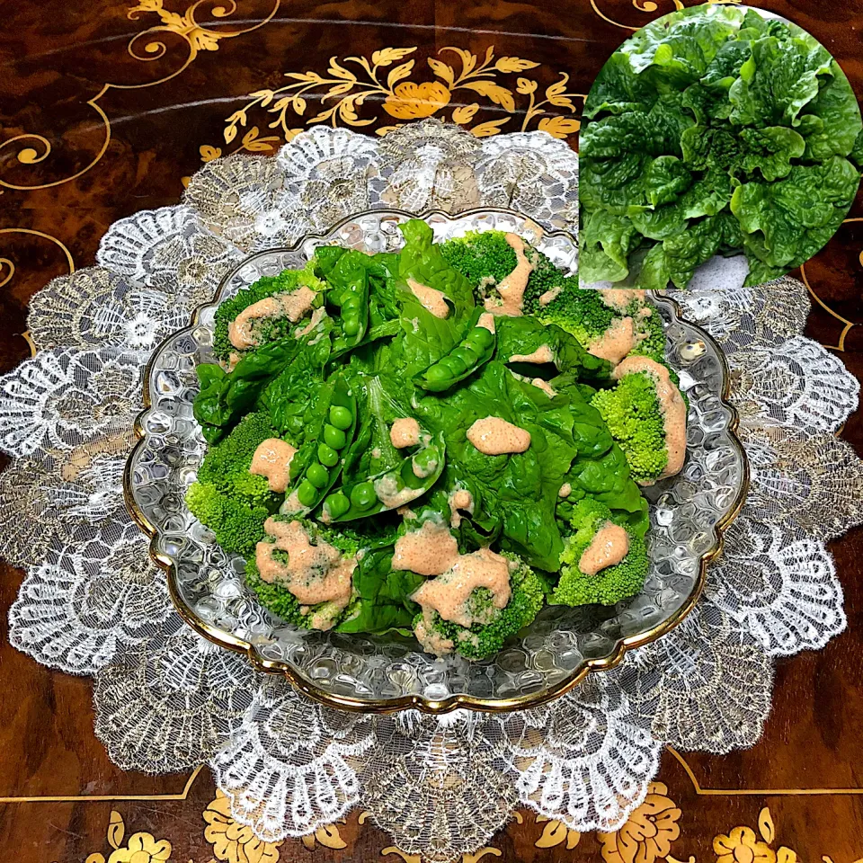 Snapdishの料理写真:畑直送レタス🥬ブロッコリー🥦さやえんどうの明太マヨサラダ🥗|henryさん